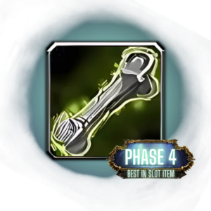 Save time and buy Bone-Link Fetish BiS Trinket Boost from Dragon Soul in Phase 4 of WoW Cata - Guaranteed, cheap BiS Trinket farming at Next Tier.